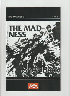 MADNESS #1 (OF 6) TALAJIc PUNK ROCK HOMAGE VARIANT