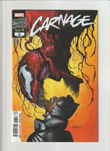 Load image into Gallery viewer, CARNAGE #6 VOL 4