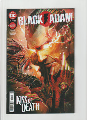 BLACK ADAM #11 (OF 12)