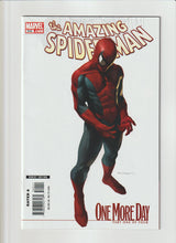 Load image into Gallery viewer, Amazing Spider-Man 544 Vol 2 Marko Djurdjevic Variant