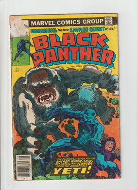 Black Panther 5 Vol 1